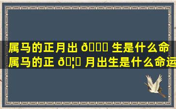 属马的正月出 🐕 生是什么命（属马的正 🦅 月出生是什么命运）